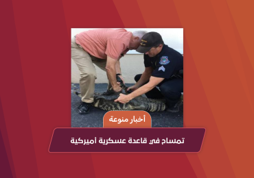 Crocodile on an American military base