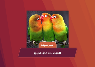 Sound is the biggest enemy of birds