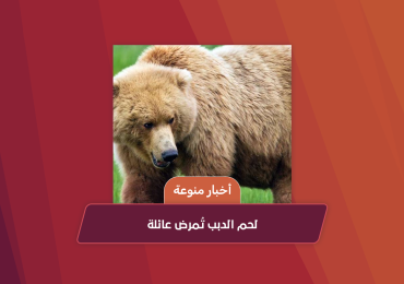 Bear meat makes a family sick